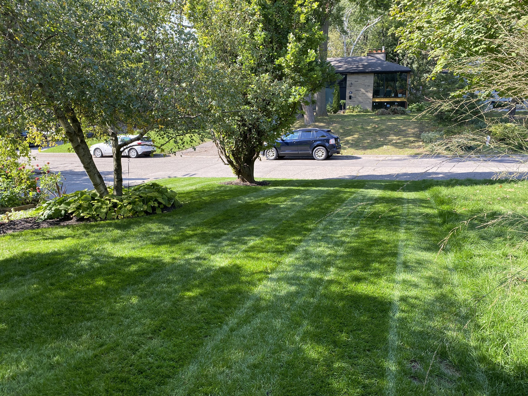 A7A928C3-DD96-4974-9D69-C6E80D0BC3C5