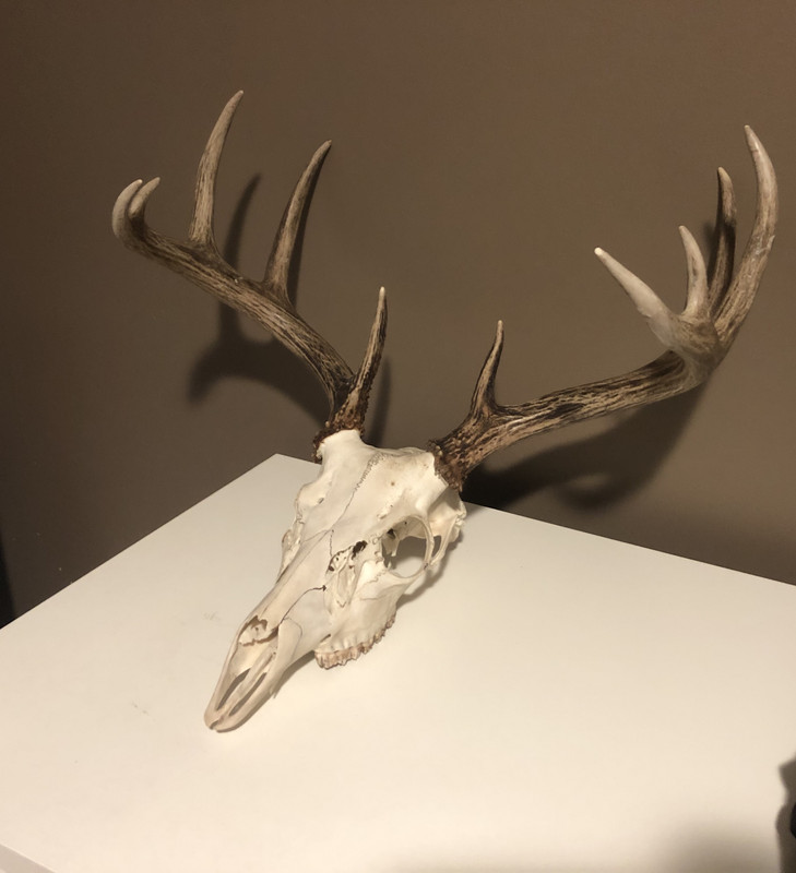 A141526B-0816-4449-BE87-E0EA0AECE537