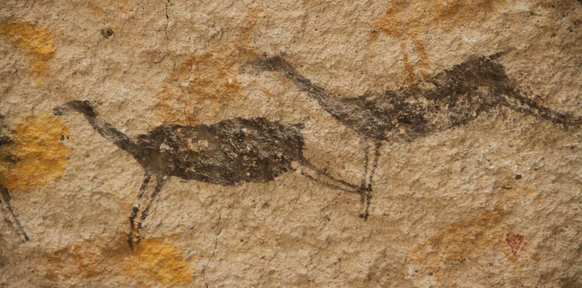 pitture rupestri neuroarcheologia evoluzione umana