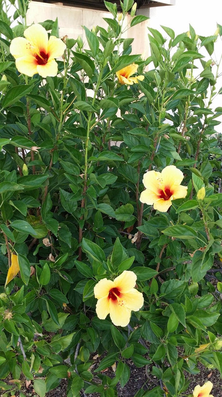 2F5061FA-8764-4557-AA73-3E206D168736