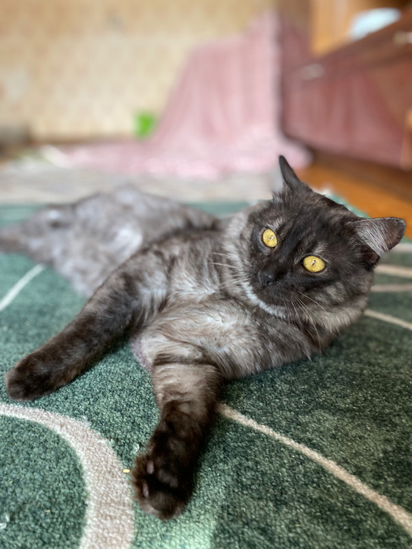 image-11-06-23-09-24-1