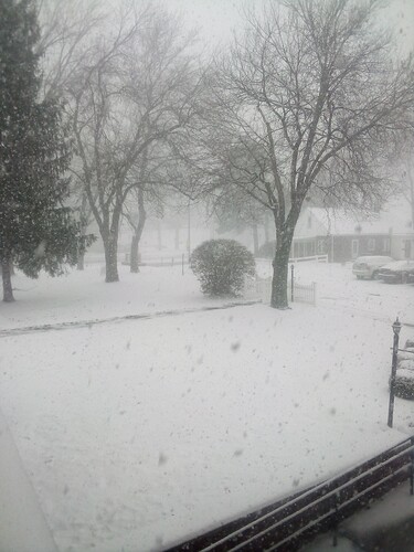 5cb1333818463255990ba37fed93284c46260fc0 2 375x500