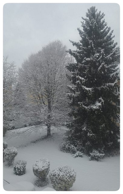 IMG-20231129-WA0000-01