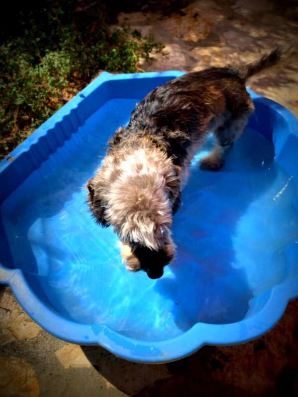 [Image: IMG-1177.jpg]