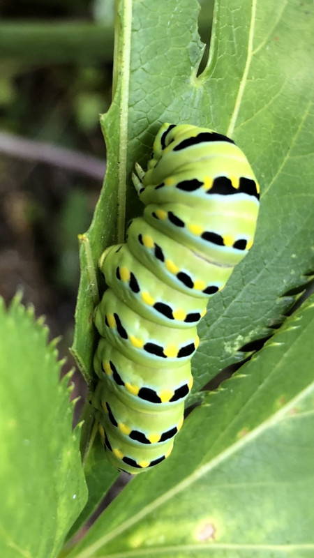 C34B51B9-5D1E-4FE7-8AED-7B2A094333E4