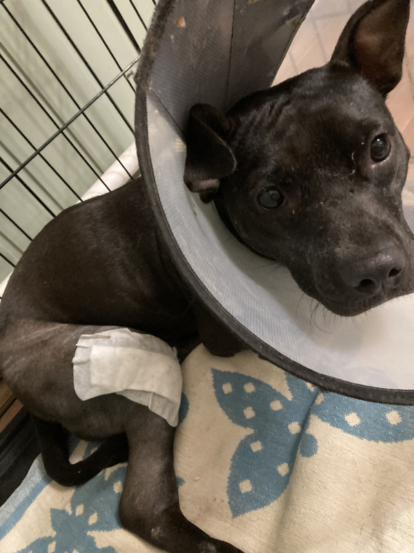 0829670B-857A-4825-A050-7825FFE09684