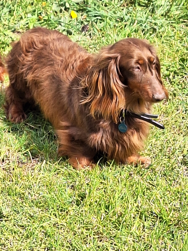 [Image: 20240418-121024.jpg]