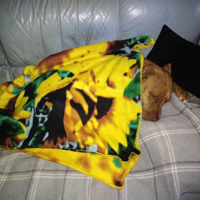 CB204DCE-9291-4999-A5CE-0877486525CC