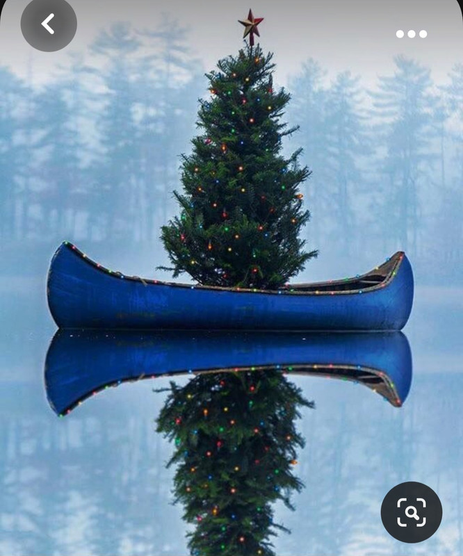 Screenshot_20231103_180720_Pinterest