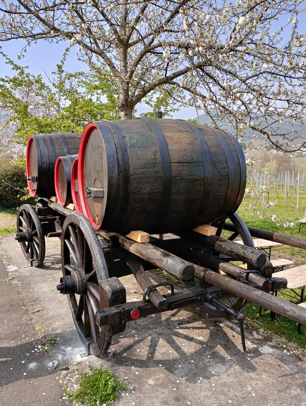 Ausstellungsobjekt (Weinfässer auf Wagen) entlang des Weinlehrpfads Edenkoben