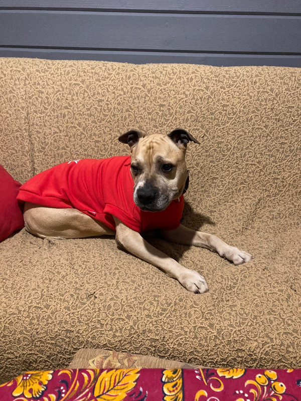 A240B00D-DF59-4D18-993A-01725E4EEAA6