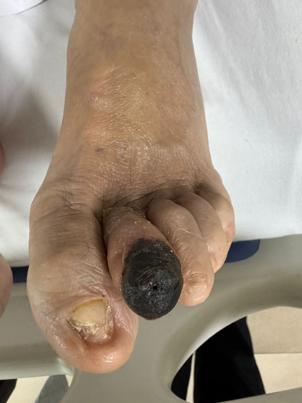 Whats App Image 2025 11 29 at 12 33 56 PM