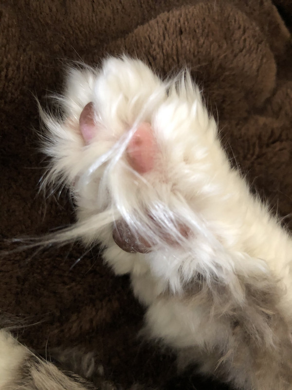 EF14C993-7851-4C42-93D3-9838A6732F69