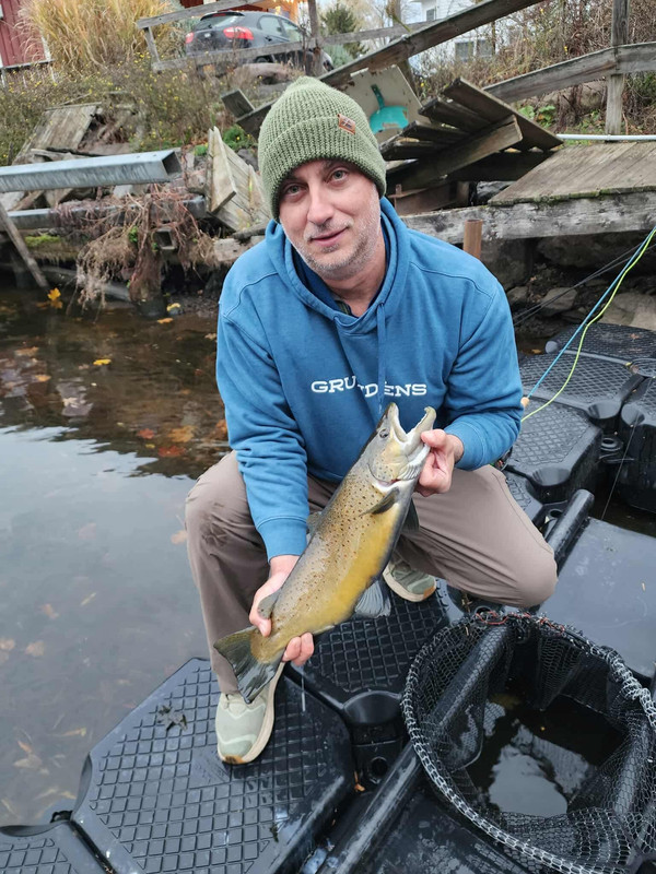 0c644db251c2e82d495cc74c656ace8b