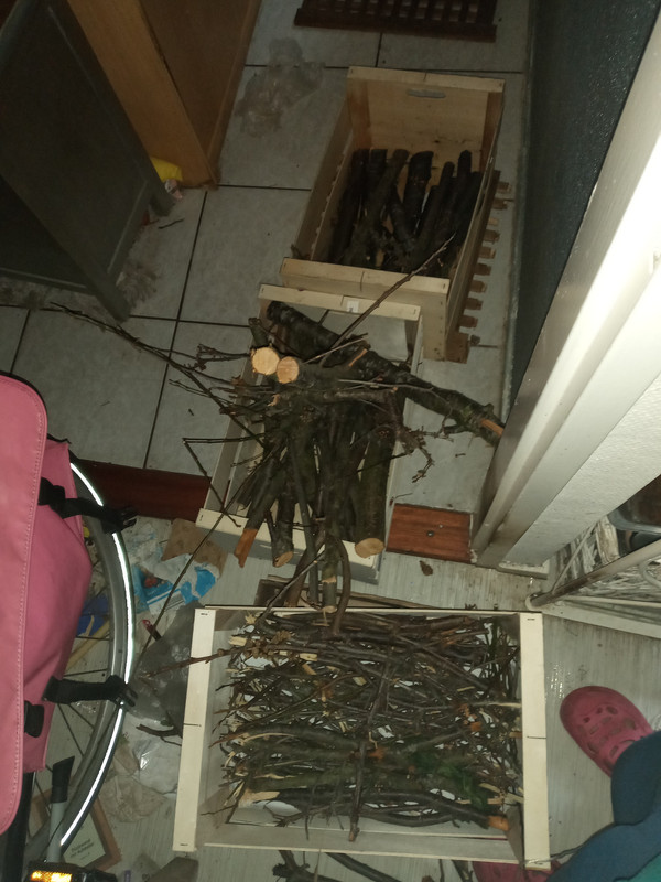 [Image: 20220405-160134.jpg]