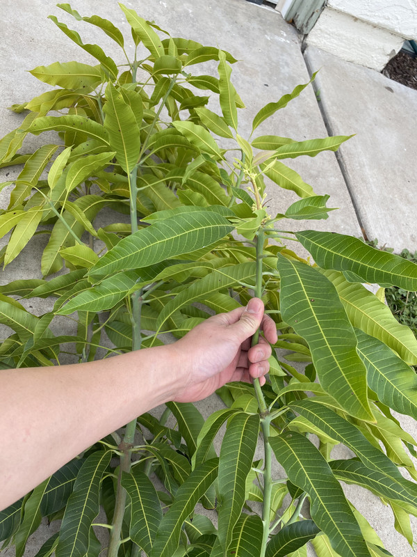 4A6C3B74-B132-4A31-A976-8DB891BE994D