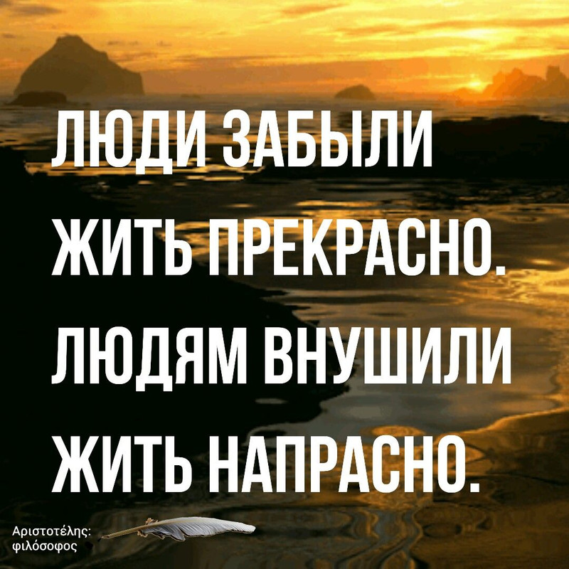 Люди забыли жить прекрасно