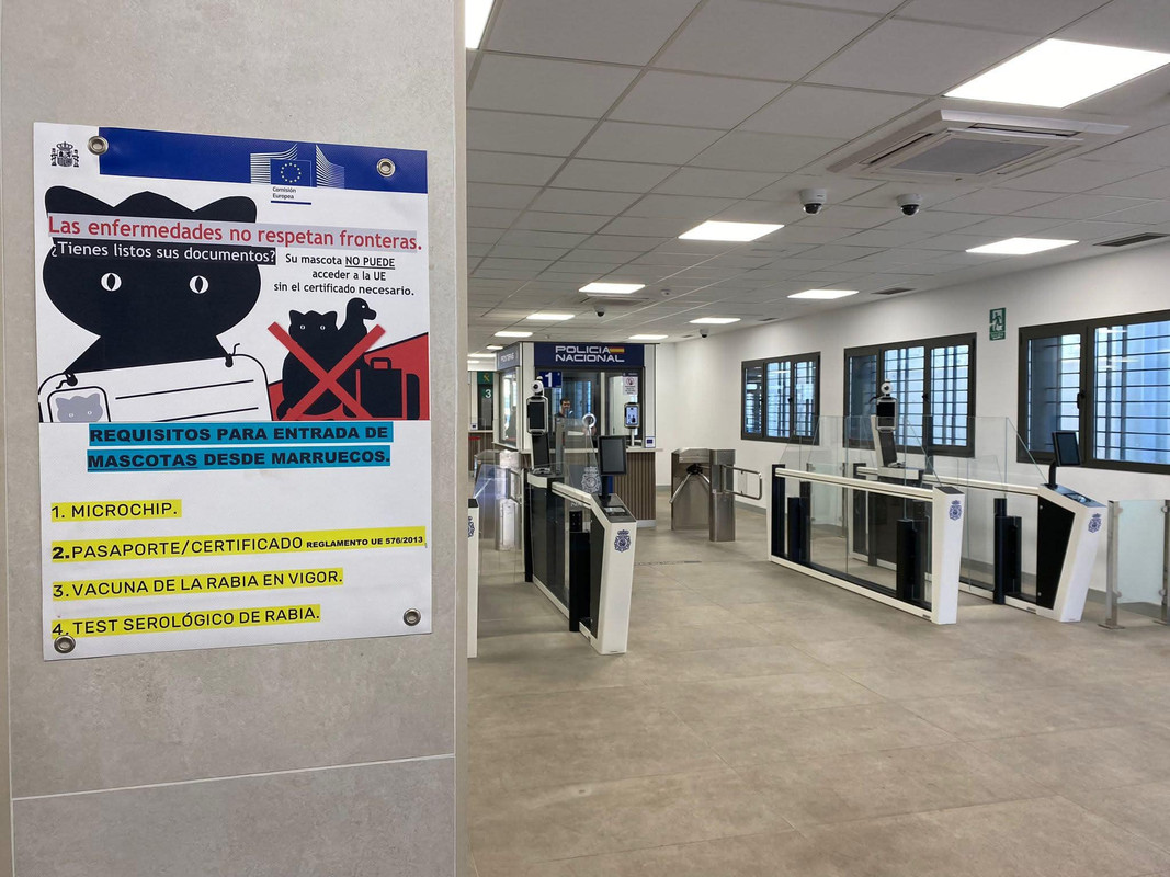 474992351_1138198571316714_694583584216115580_n (1)