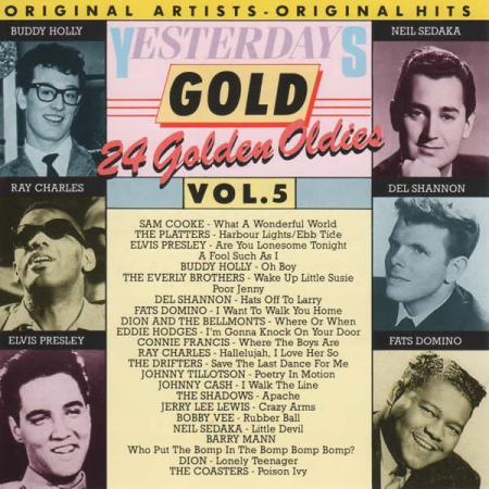 VA - Yesterdays Gold: 24 Golden Oldies Vol.5 (1987) MP3