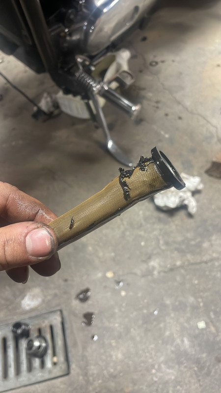 540A48FC-3E39-47ED-A512-735BCA49F8BA