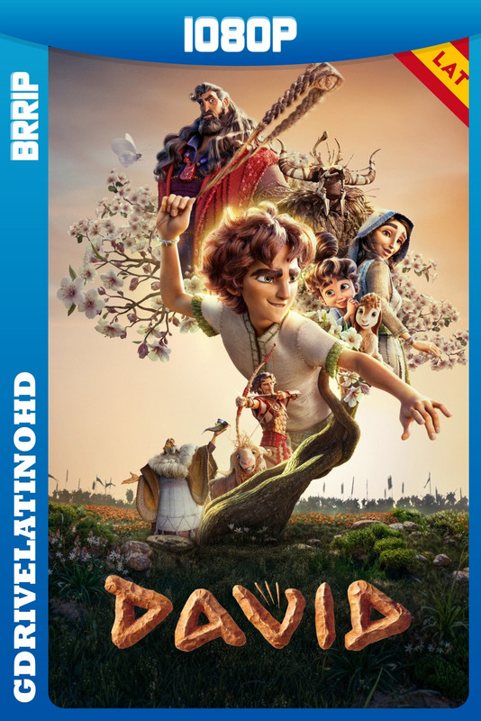 David (2025) BRRip 1080p Latino-Inglés