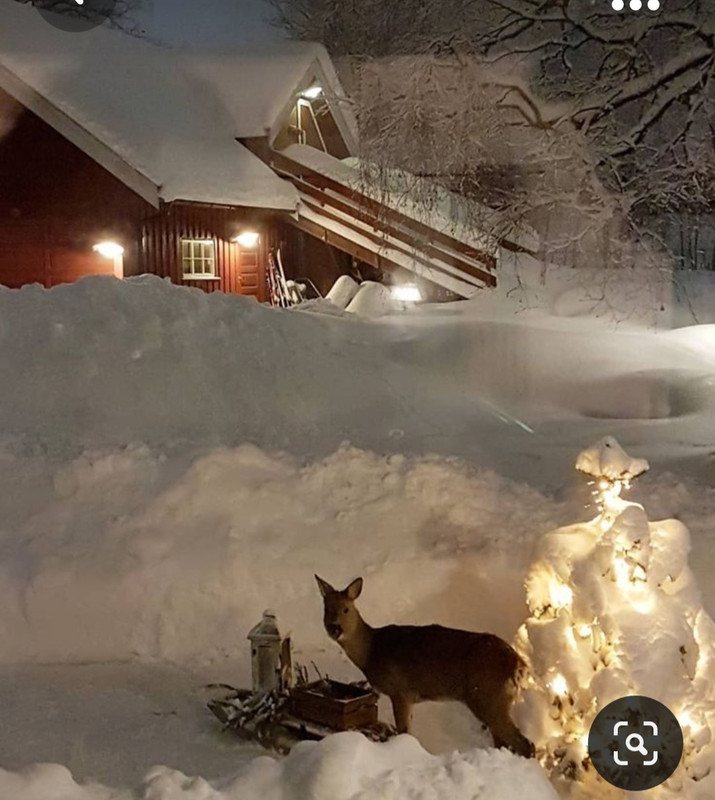 Screenshot_20231023_215713_Pinterest