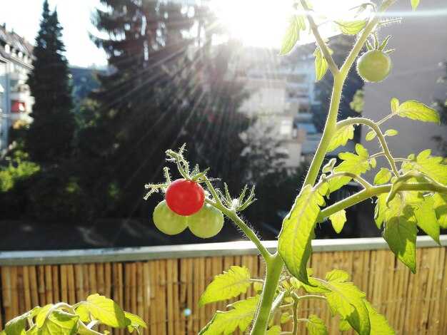 Выбор материалов для оформления границ между зонами
