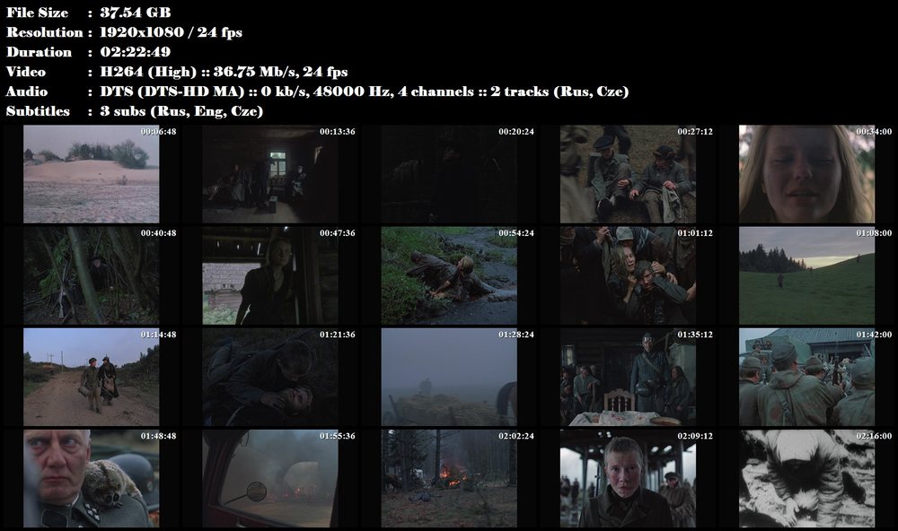 Jdi a dívej se / Idi i smotri (1985)