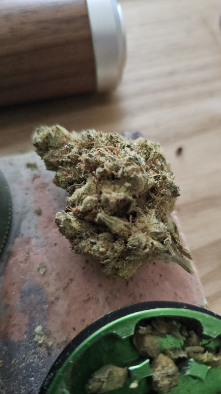 LA-Sage-Grow-Pharma-03.jpg