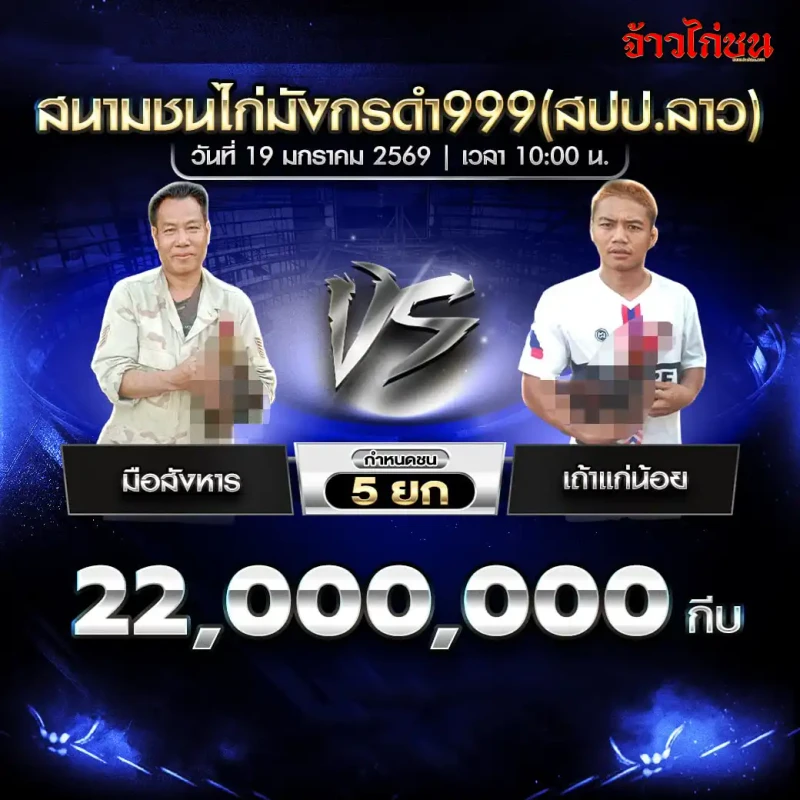 โปรแกรมไก่ชน คู่เด่น มือสังหาร พบ เถ้าแก่น้อย ชิง 22,000,000 กีบ ชน 5 ยก