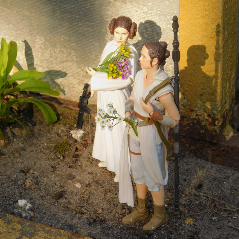 Дачно-Харлинский июнь-июль 2024 221