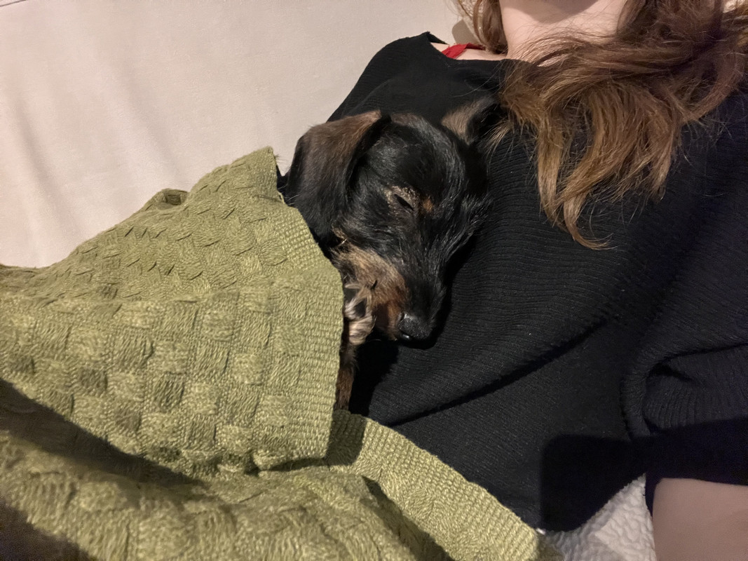 [Image: IMG-2446.jpg]