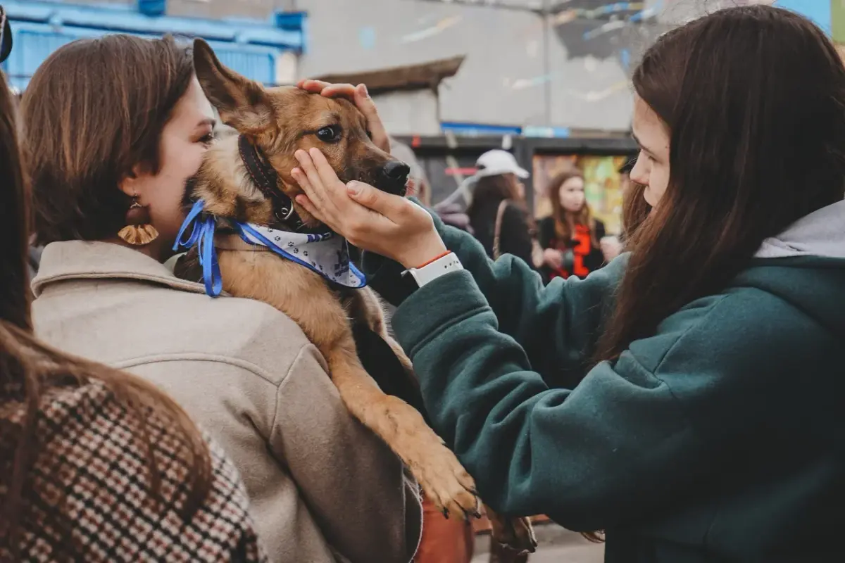 891BB719-2E12-4B11-BAE8-0CE13DE7C6E0