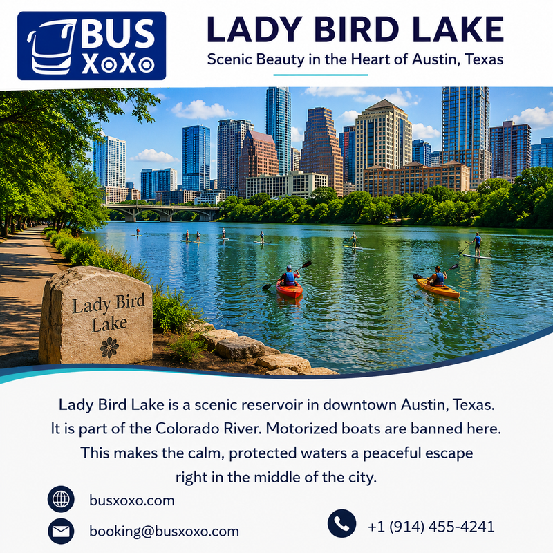 LADY BIRD LAKE