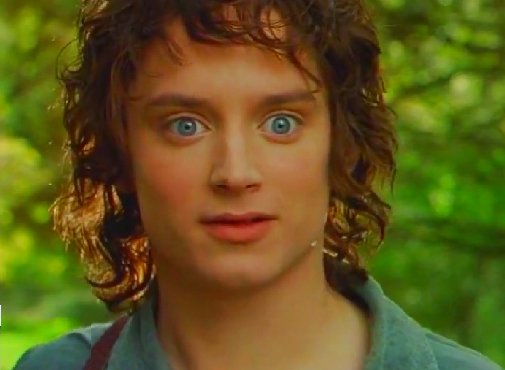 Elijah Wood in Lord of the Rings