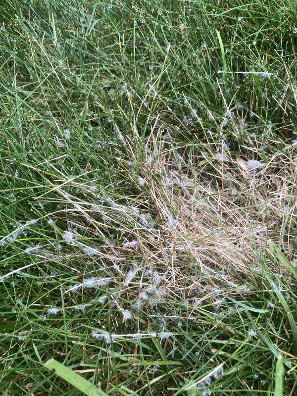 26733E8A-3E69-4594-AA00-B3C496F39D06