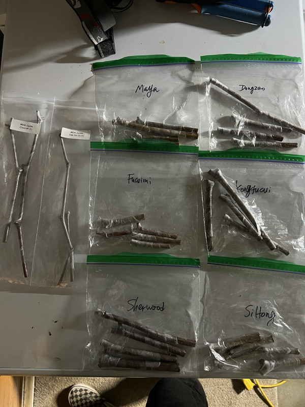 4B40C1FA-5199-4FF6-86CF-F5AE7693ED9A