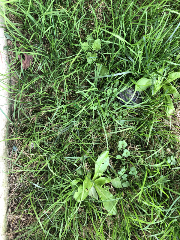 9E146C17-943F-40D8-9C83-7FC888FA98AA