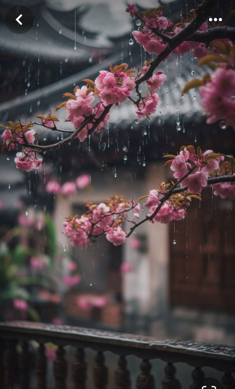 Screenshot_20240324_215943_Pinterest