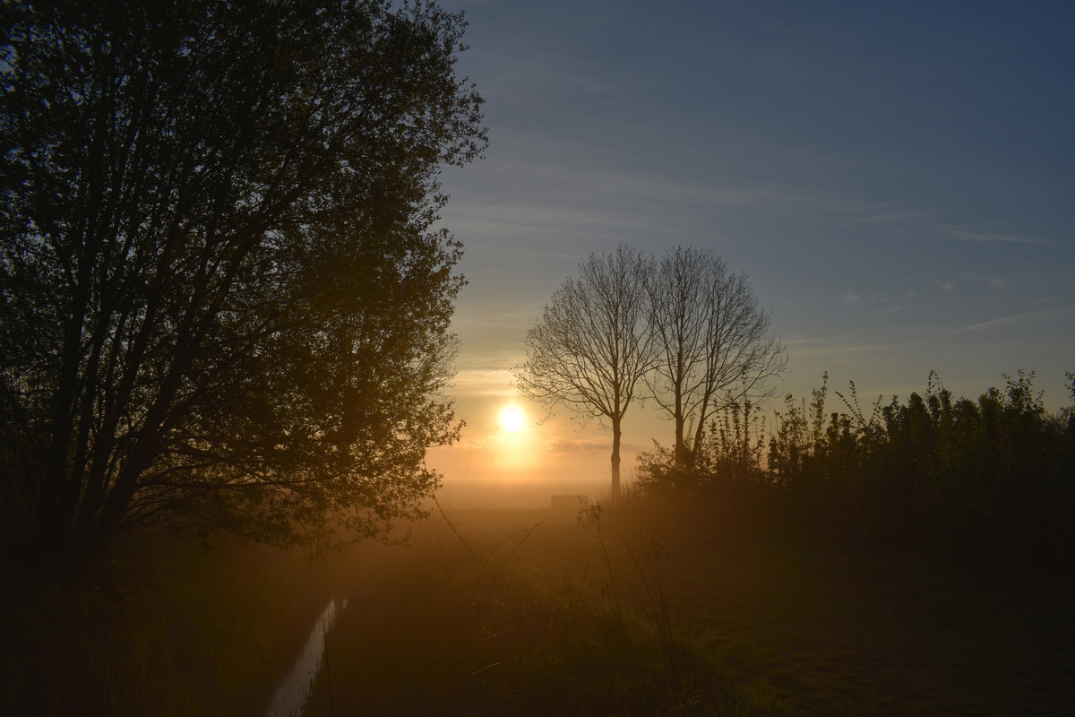 DSC_0025AMB 1-5-22