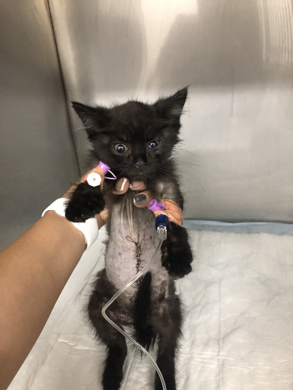 59102571-3834-4489-BB88-BF1EE6665304