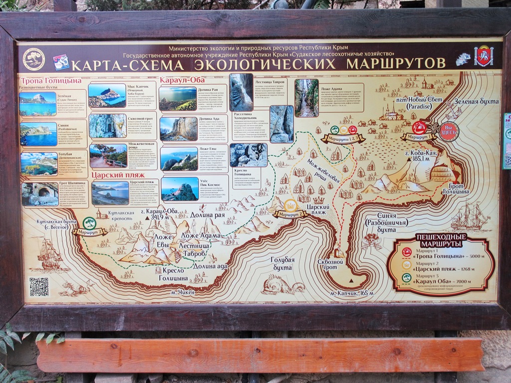https://i.postimg.cc/dVYG4BFp/IMG-1390.jpg