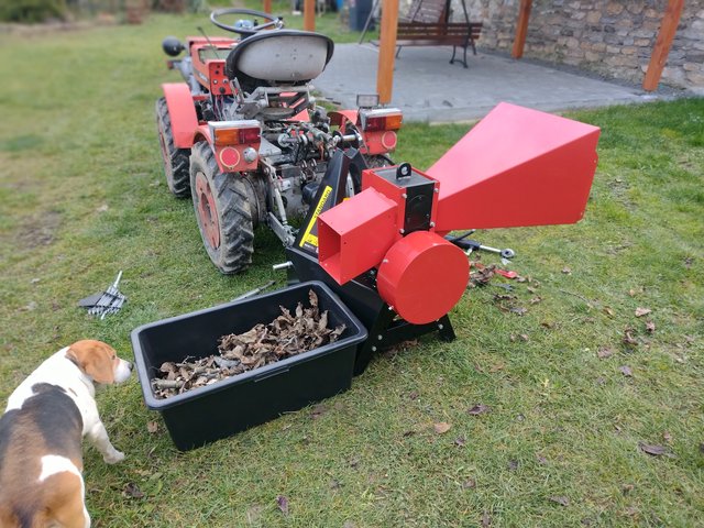 IMG_20241205_140535499_MF_PORTRAIT