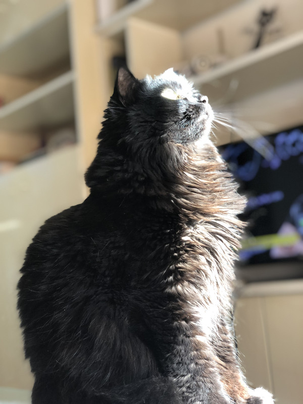 AA983CF3-F542-4170-9D61-43607F3A067E