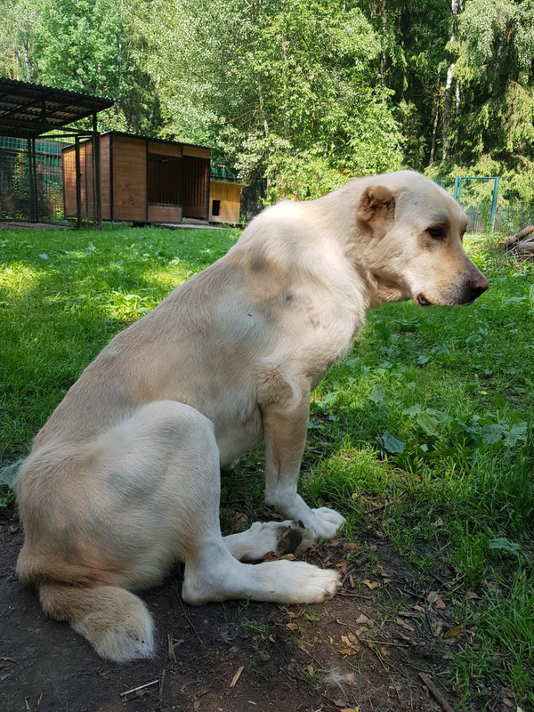 https://i.postimg.cc/dVZ3cd7d/IMG-20220707-WA0006.jpg