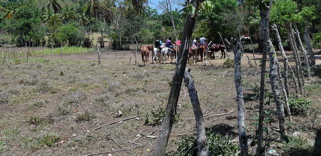 DIA 4 - EXCURSION A SAMANA, CASCADA DEL LIMON E ISLA BACARDI - Hotel Grand Sirenis Punta Cana + Samana + Cortecito (48)