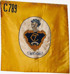 CCav789