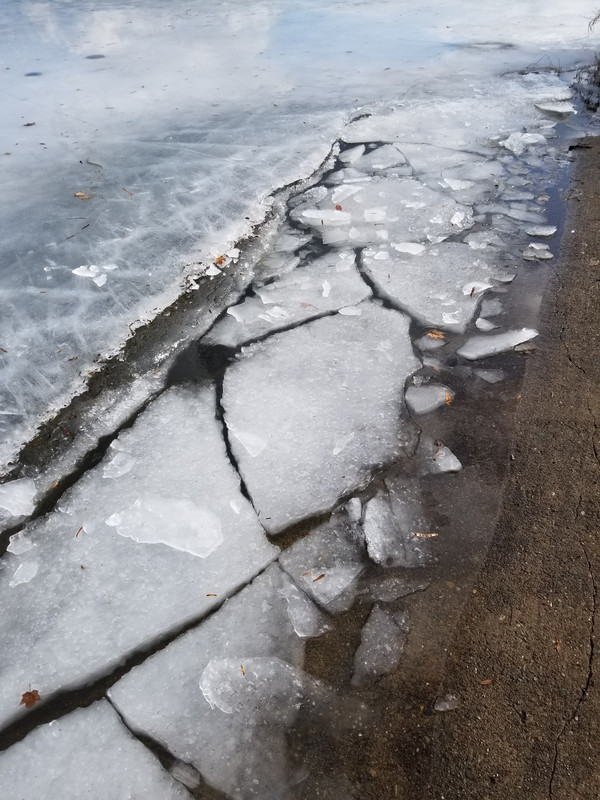 20190215_104744