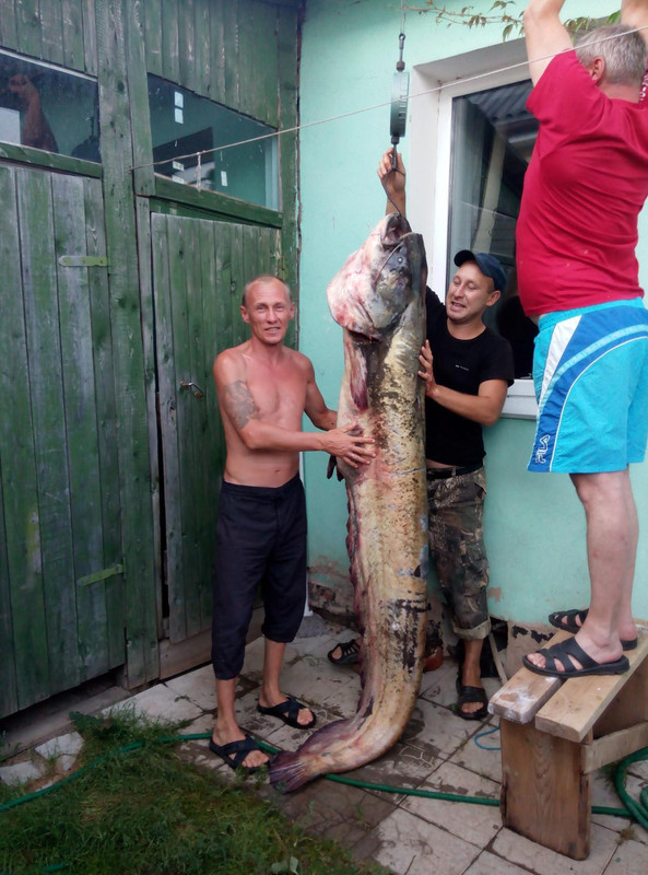 Круглая ЭSка..