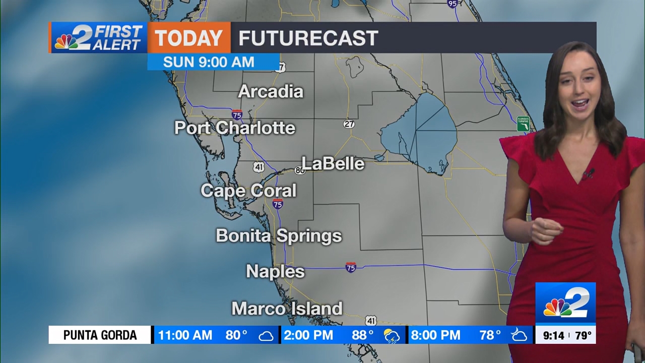 04.16 - 14.00.00 - NBC 2 News Today - Sunday  ᴺᵉʷ..ts_snapshot_00.20.42.121